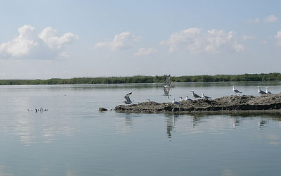 Delta du Danube